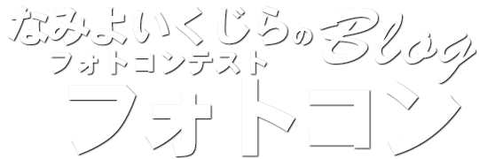 大阪のダイビングスクール『なみよいくじら』－フォトコン
